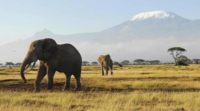 amboseli