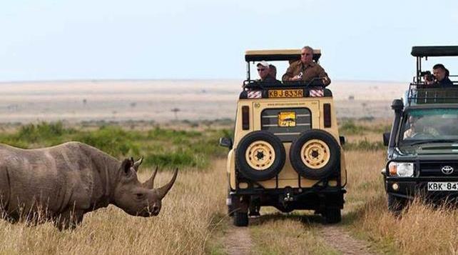 masai mara 1